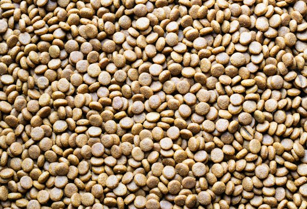 Téléassistance à domicile : solution pour seniors en sécurité